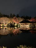 国営昭和記念公園 秋の夜散歩に投稿された画像（2024/11/28）