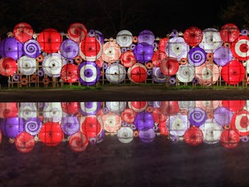 国営昭和記念公園 秋の夜散歩に投稿された画像（2024/11/28）