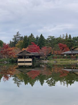 国営昭和記念公園 秋の夜散歩に投稿された画像（2024/11/28）