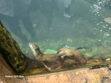 那須どうぶつ王国に投稿された画像（2024/11/28）