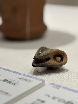 豊田市博物館に投稿された画像（2024/11/28）