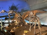 福井県立恐竜博物館に投稿された画像（2024/11/28）