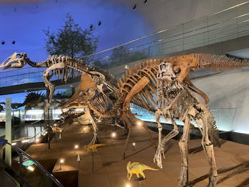 福井県立恐竜博物館に投稿された画像（2024/11/28）