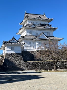 小田原城に投稿された画像（2024/11/28）