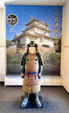 小田原城に投稿された画像（2024/11/28）