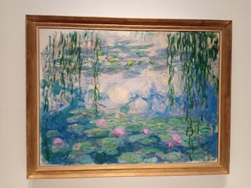 モネ 睡蓮のとき（国立西洋美術館）に投稿された画像（2024/11/28）
