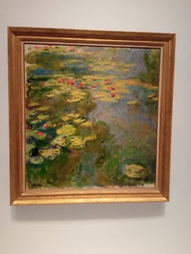 モネ 睡蓮のとき（国立西洋美術館）に投稿された画像（2024/11/28）