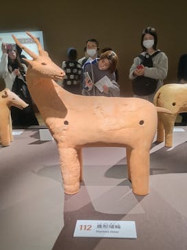 挂甲の武人 国宝指定50周年記念 特別展「はにわ」@東京国立博物館 平成館に投稿された画像（2024/11/28）