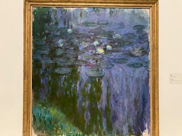 モネ 睡蓮のとき（国立西洋美術館）に投稿された画像（2024/11/28）