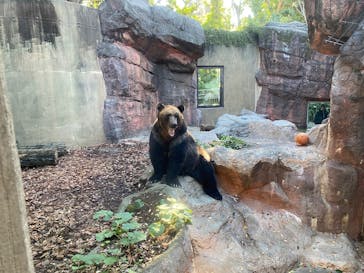 恩賜上野動物園に投稿された画像（2024/11/28）