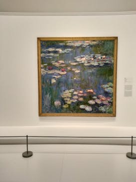 モネ 睡蓮のとき（国立西洋美術館）に投稿された画像（2024/11/28）