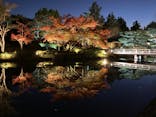 国営昭和記念公園 秋の夜散歩に投稿された画像（2024/11/28）