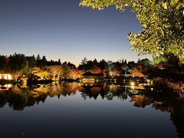 国営昭和記念公園 秋の夜散歩に投稿された画像（2024/11/28）