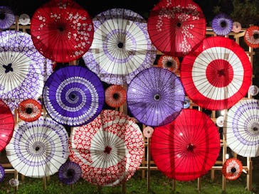 国営昭和記念公園 秋の夜散歩に投稿された画像（2024/11/28）