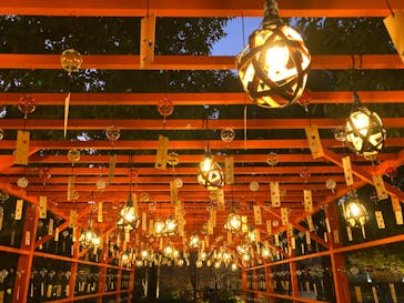 国営昭和記念公園 秋の夜散歩に投稿された画像（2024/11/28）