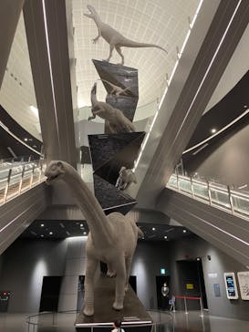 福井県立恐竜博物館に投稿された画像（2024/11/28）