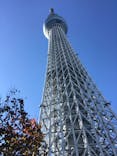 東京スカイツリーに投稿された画像（2024/11/28）