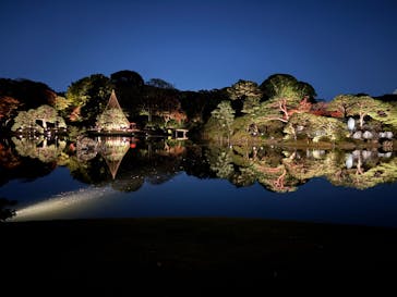 六義園に投稿された画像（2024/11/28）