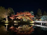 国営昭和記念公園 秋の夜散歩に投稿された画像（2024/11/28）