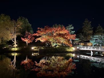 国営昭和記念公園 秋の夜散歩に投稿された画像（2024/11/28）