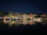 国営昭和記念公園 秋の夜散歩に投稿された画像（2024/11/28）