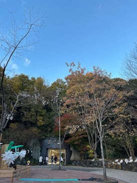 名古屋市東山動植物園に投稿された画像（2024/11/28）