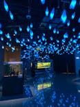 神戸みなと温泉 蓮×AQUARIUM × ART　atoaに投稿された画像（2024/11/28）