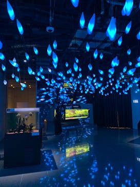 神戸みなと温泉 蓮×AQUARIUM × ART　atoaに投稿された画像（2024/11/28）