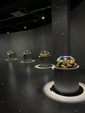 神戸みなと温泉 蓮×AQUARIUM × ART　atoaに投稿された画像（2024/11/28）