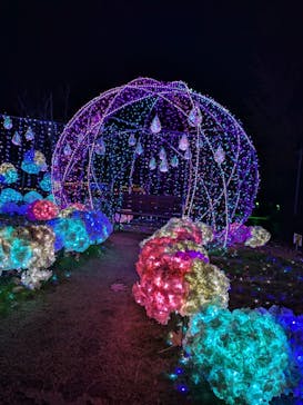 修善寺虹の郷に投稿された画像（2024/11/28）