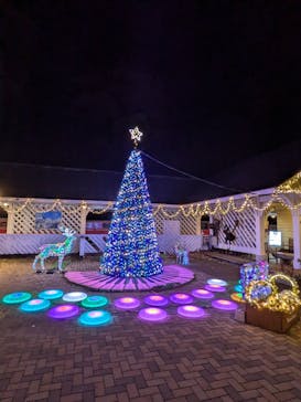 修善寺虹の郷に投稿された画像（2024/11/28）