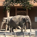 名古屋市東山動植物園に投稿された画像（2024/11/28）