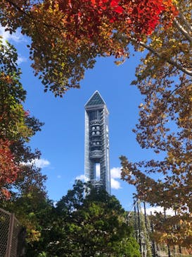 名古屋市東山動植物園に投稿された画像（2024/11/28）