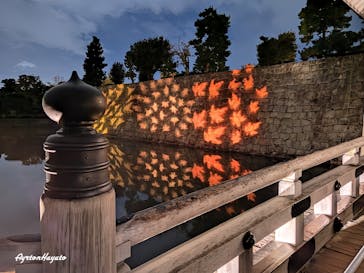 NAKED meets 二条城 2025 観月に投稿された画像（2024/11/28）