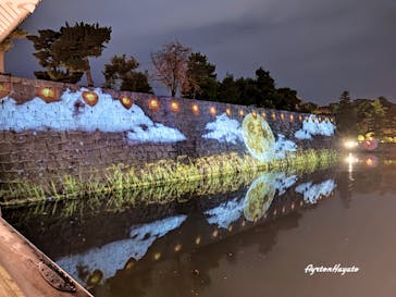 NAKED meets 二条城 2025 観月に投稿された画像（2024/11/28）