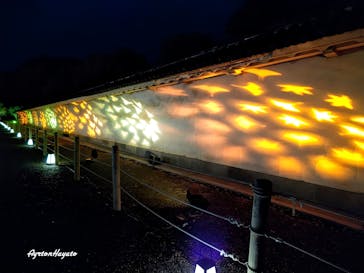 NAKED meets 二条城 2025 観月に投稿された画像（2024/11/28）