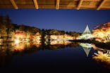 国営昭和記念公園 秋の夜散歩に投稿された画像（2024/11/28）