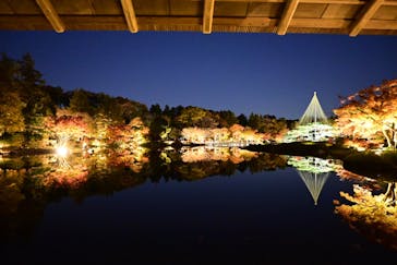 国営昭和記念公園 秋の夜散歩に投稿された画像（2024/11/28）
