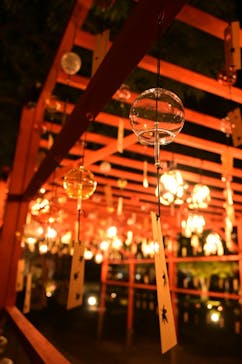 国営昭和記念公園 秋の夜散歩に投稿された画像（2024/11/28）