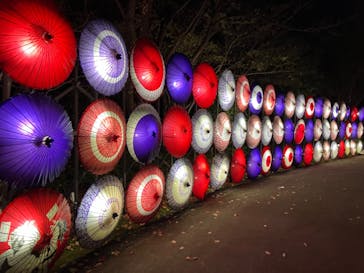 国営昭和記念公園 秋の夜散歩に投稿された画像（2024/11/28）