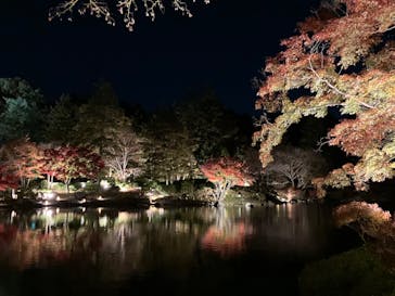 国営昭和記念公園 秋の夜散歩に投稿された画像（2024/11/28）
