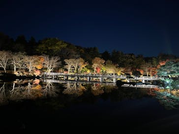 国営昭和記念公園 秋の夜散歩に投稿された画像（2024/11/28）