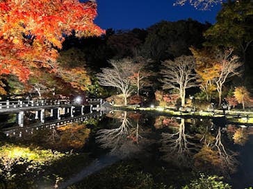 国営昭和記念公園 秋の夜散歩に投稿された画像（2024/11/28）