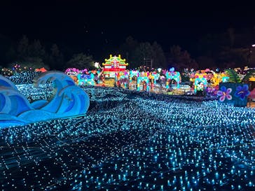 伊豆高原グランイルミに投稿された画像（2024/11/28）