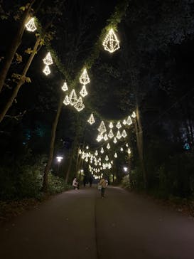 ムーミンバレーパークに投稿された画像（2024/11/28）