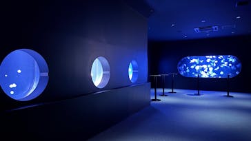 AOAO SAPPOROに投稿された画像（2024/11/28）