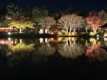 国営昭和記念公園 秋の夜散歩に投稿された画像（2024/11/29）