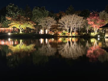 国営昭和記念公園 秋の夜散歩に投稿された画像（2024/11/28）