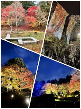 神戸六甲ミーツ・アート2025 beyondに投稿された画像（2024/11/28）