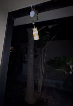 アソビュー株式会社　149986	に投稿された画像（2024/11/28）